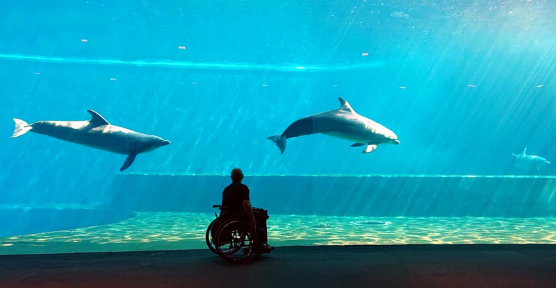 Grand bassin des dauphins à l'aquarium de Gênes.