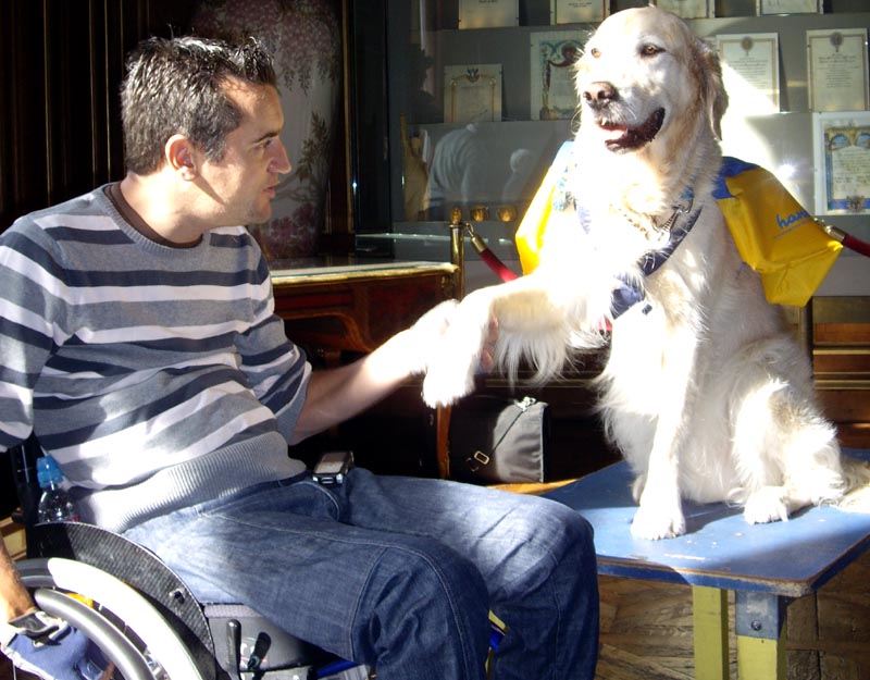 Chien d'assistance et son maître.