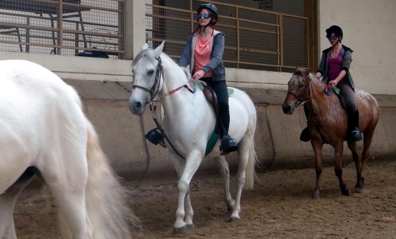 Équitation à l’aveugle