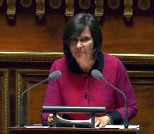 Marie-Arlette Carlotti au Sénat