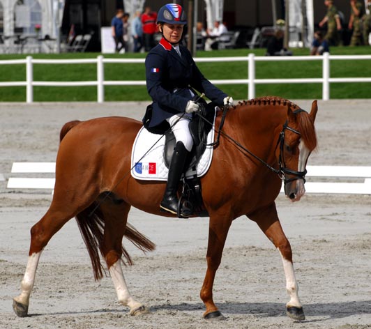 Céline Gerny avec Ilico du Clotobie au championnat d'Europe en 2009