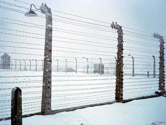 Neige et barbelés à Auschwitz.