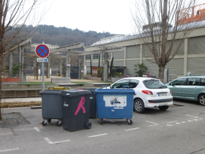 Des poubelles garées sur un stationnement réservé dans le quartier Confluence, à Lyon ©Yanous.com