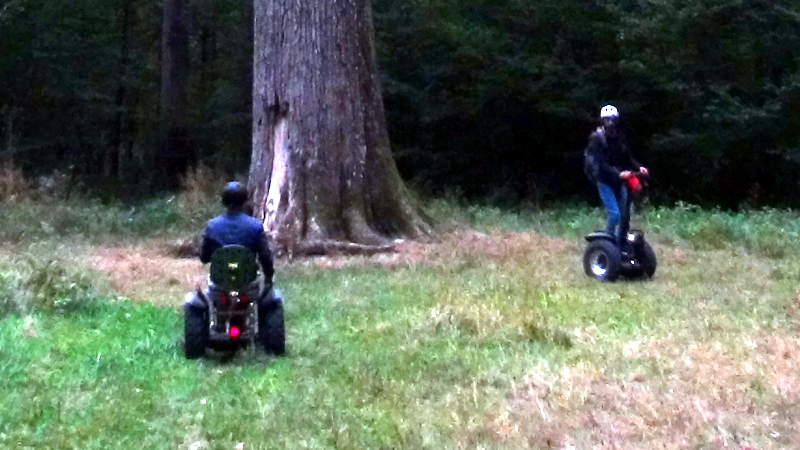 E-rool de Paramove dans la forêt des Ardennes