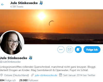 Ex-compte Twittter de Jule Stinkesocke