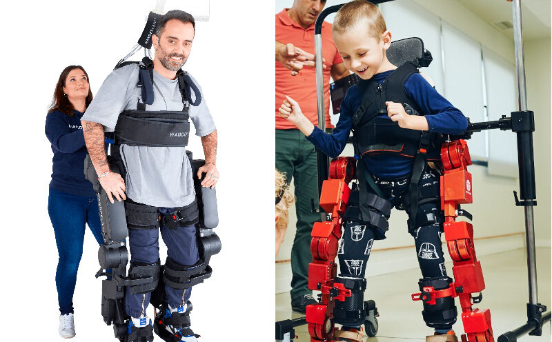 Deux exosquelettes