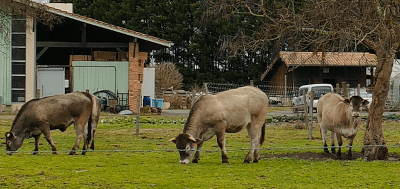 Ferme de Haute Lande