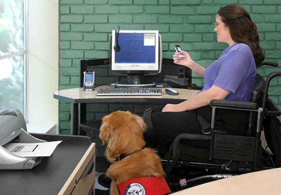 Travailleuse handicapée et chien d'assistance chez Hewlett-Packard.