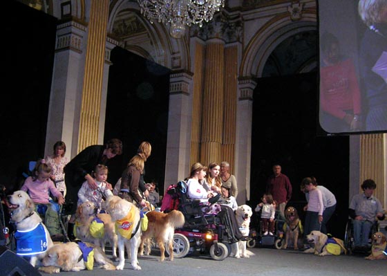 cérémonie de remise de chiens d'assistance à l'Hôtel de Ville de Paris
