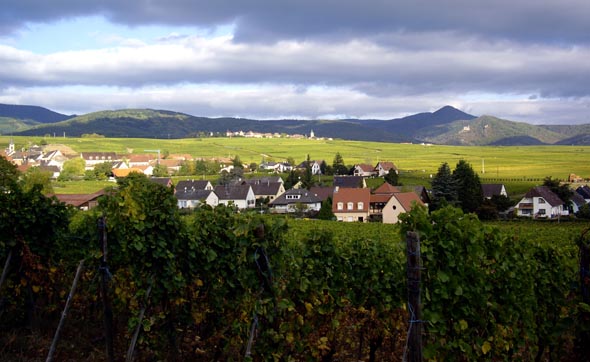 Paysage de la route des vins d'Alsace