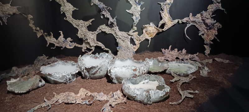 Le bouillonnement des abysses