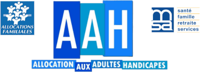 Nouvelle carte, droits en moins - Yanous ! Le magazine francophone du  handicap