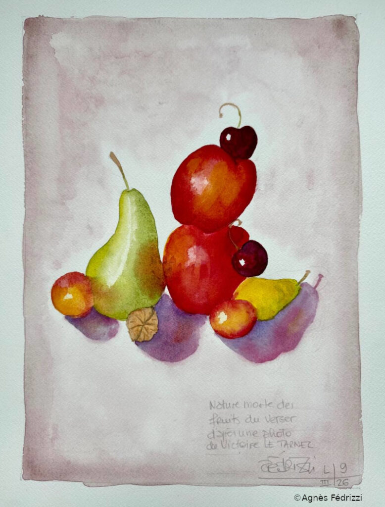 Nature morte des fruits du verger d’après une photo de Victoire Le Tarnec ©Agnès Fédrizzi
