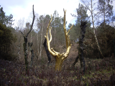 L'Arbre d'Or en forêt de Brocéliande