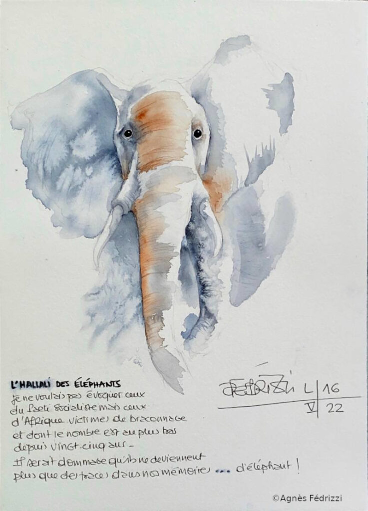 L’hallali des éléphants ©Agnès Fédrizzi